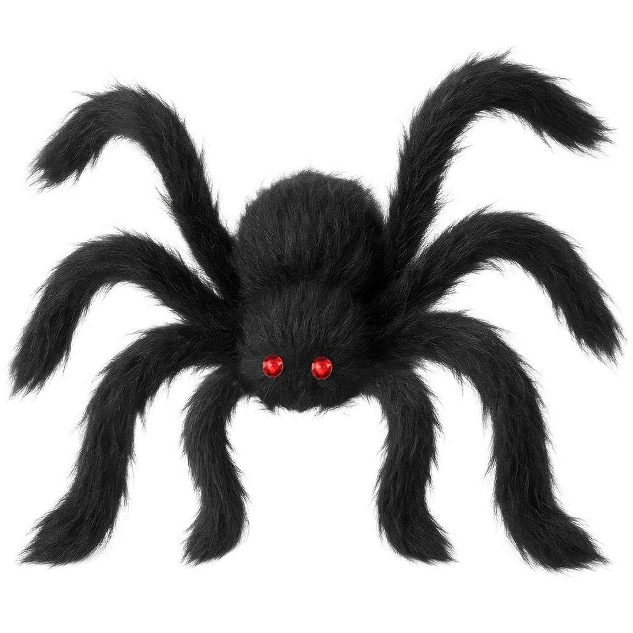 Ragno Nero Peloso Gigante