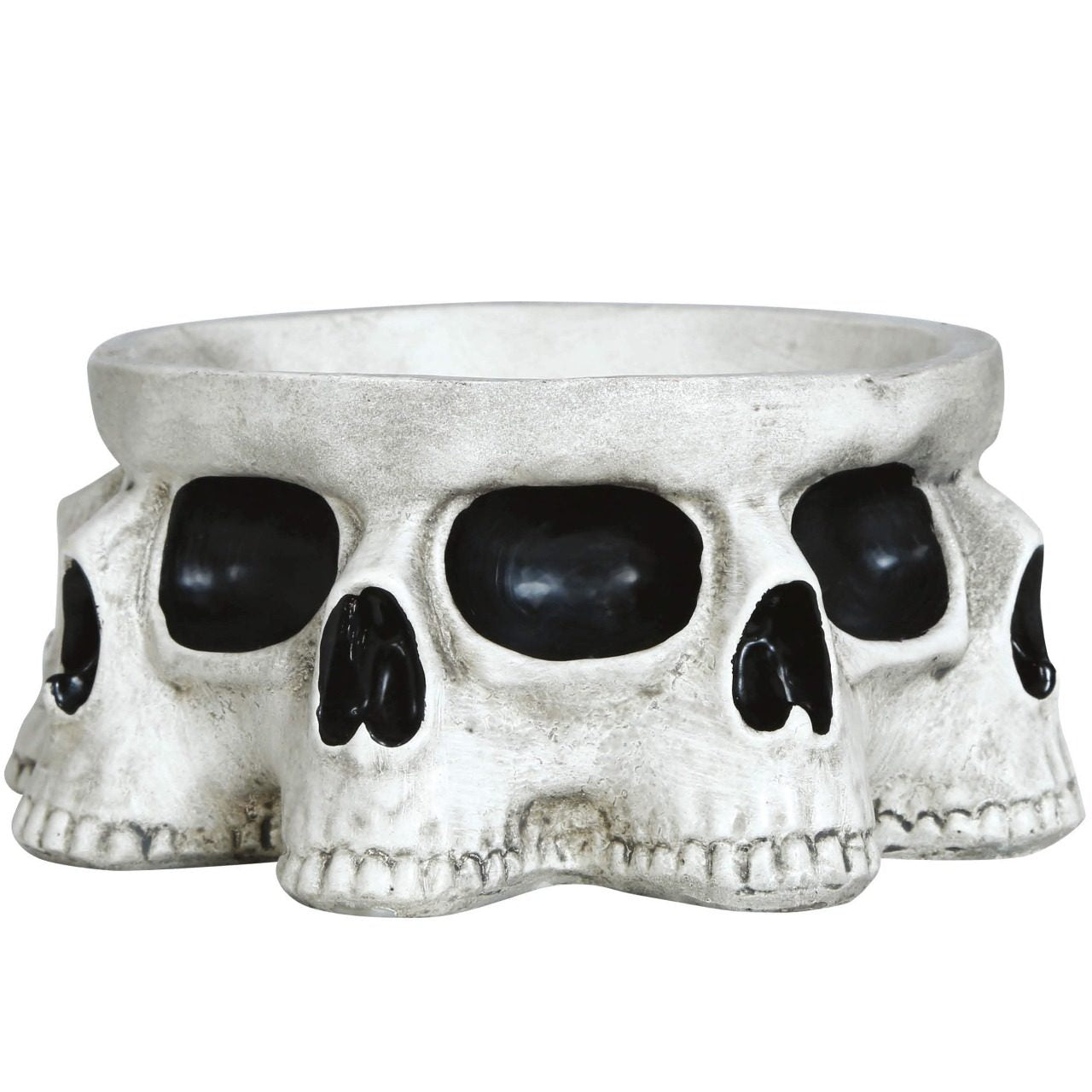 Ciotola con Teschi Inquietanti