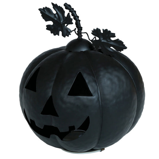 Zucca Nera Metallica Luminosa