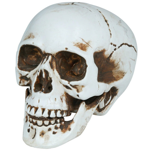 Teschio Halloween