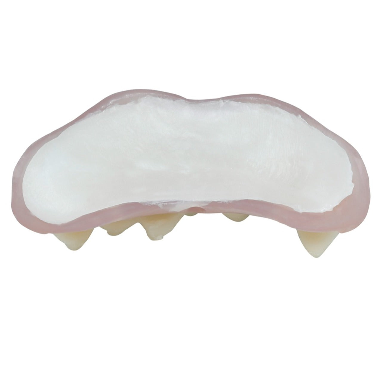 Dentiera da Vampiro con Termoplastica