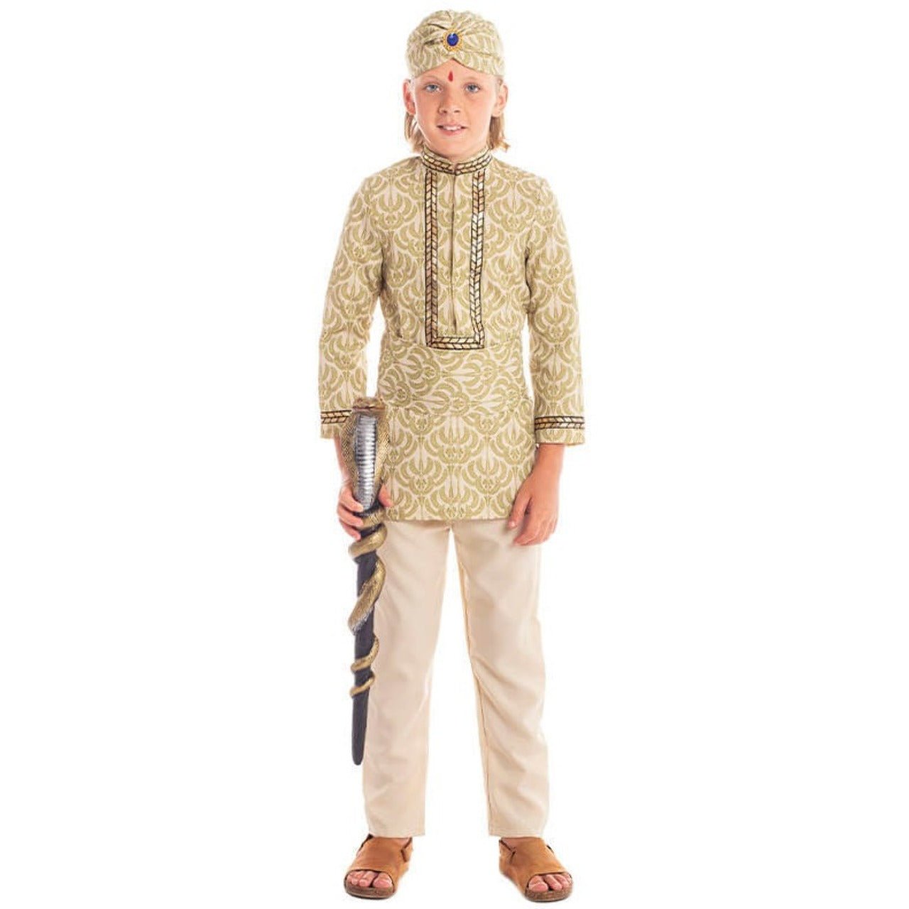 Costumi di gruppo da Hindu Reali
