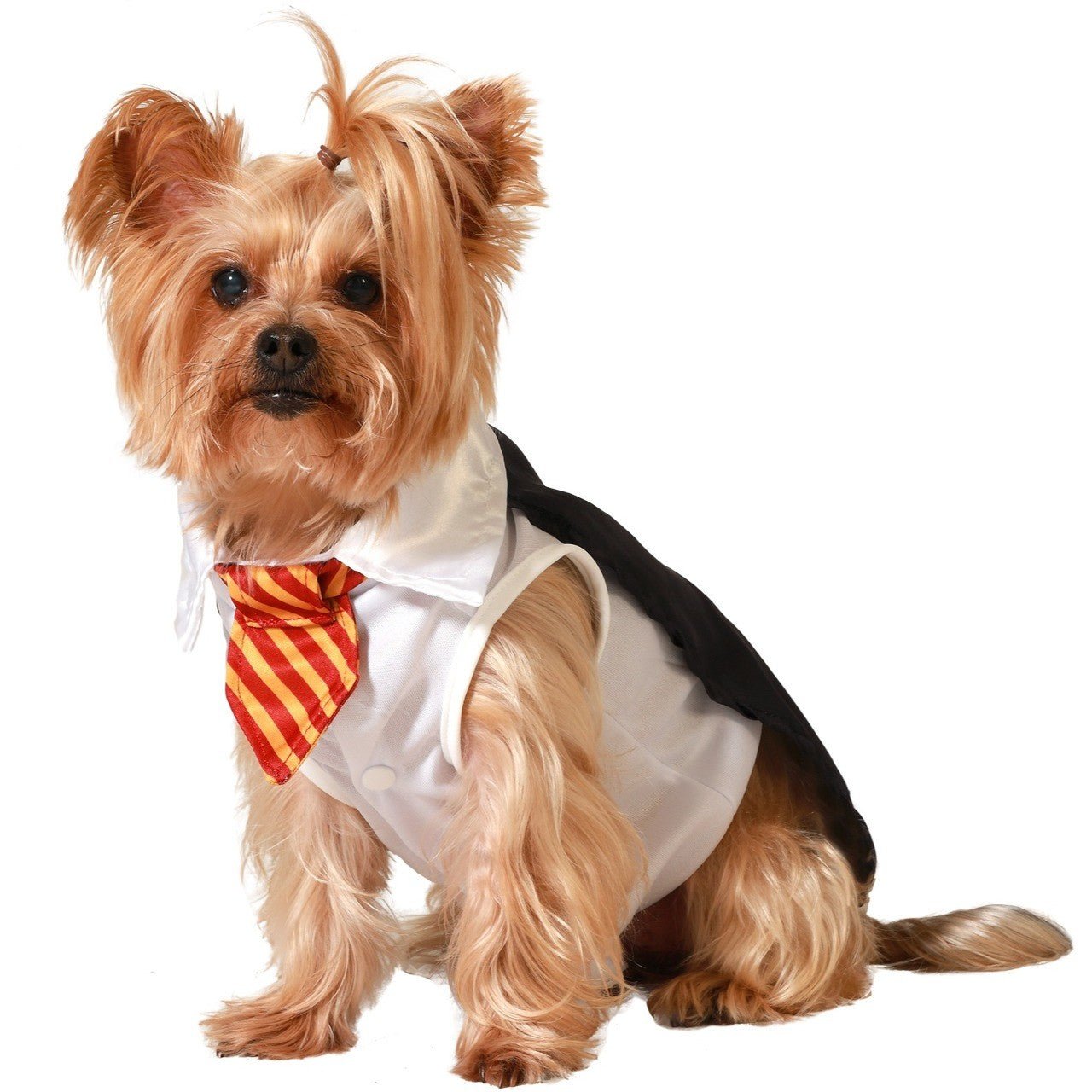 Costume da Mago Harry School per cane
