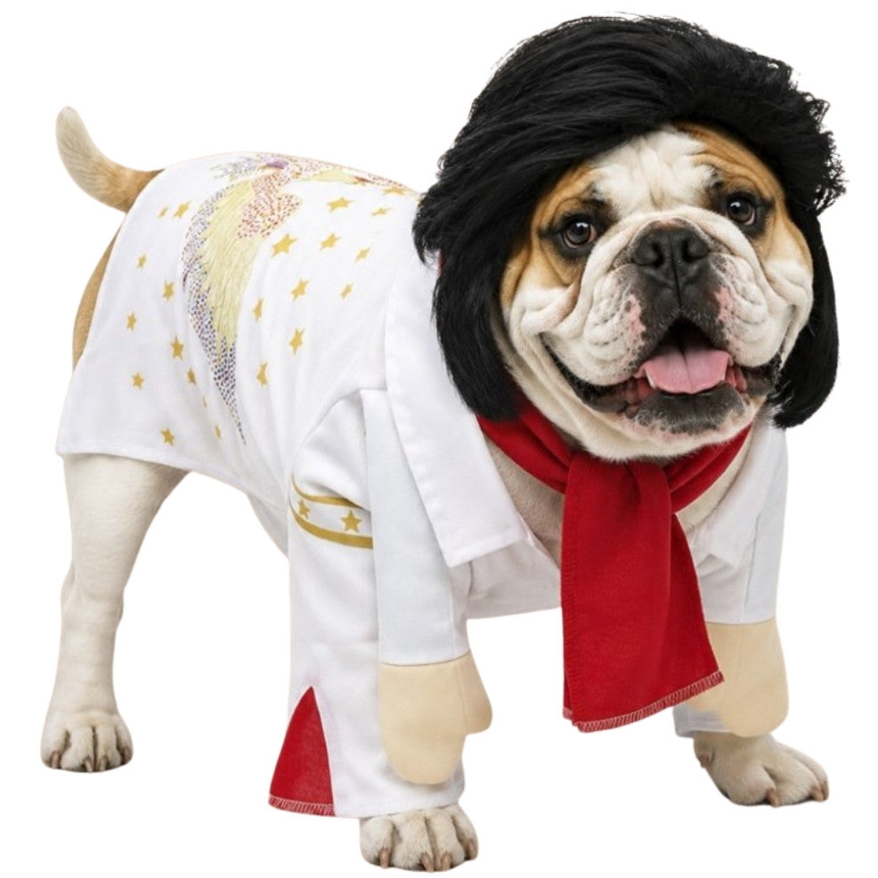 Costume da Re del Rock per animale domestico
