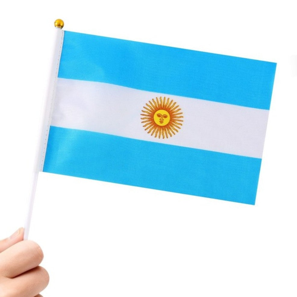 Confezione da 24 Banderine dell'Argentina 20x30cm
