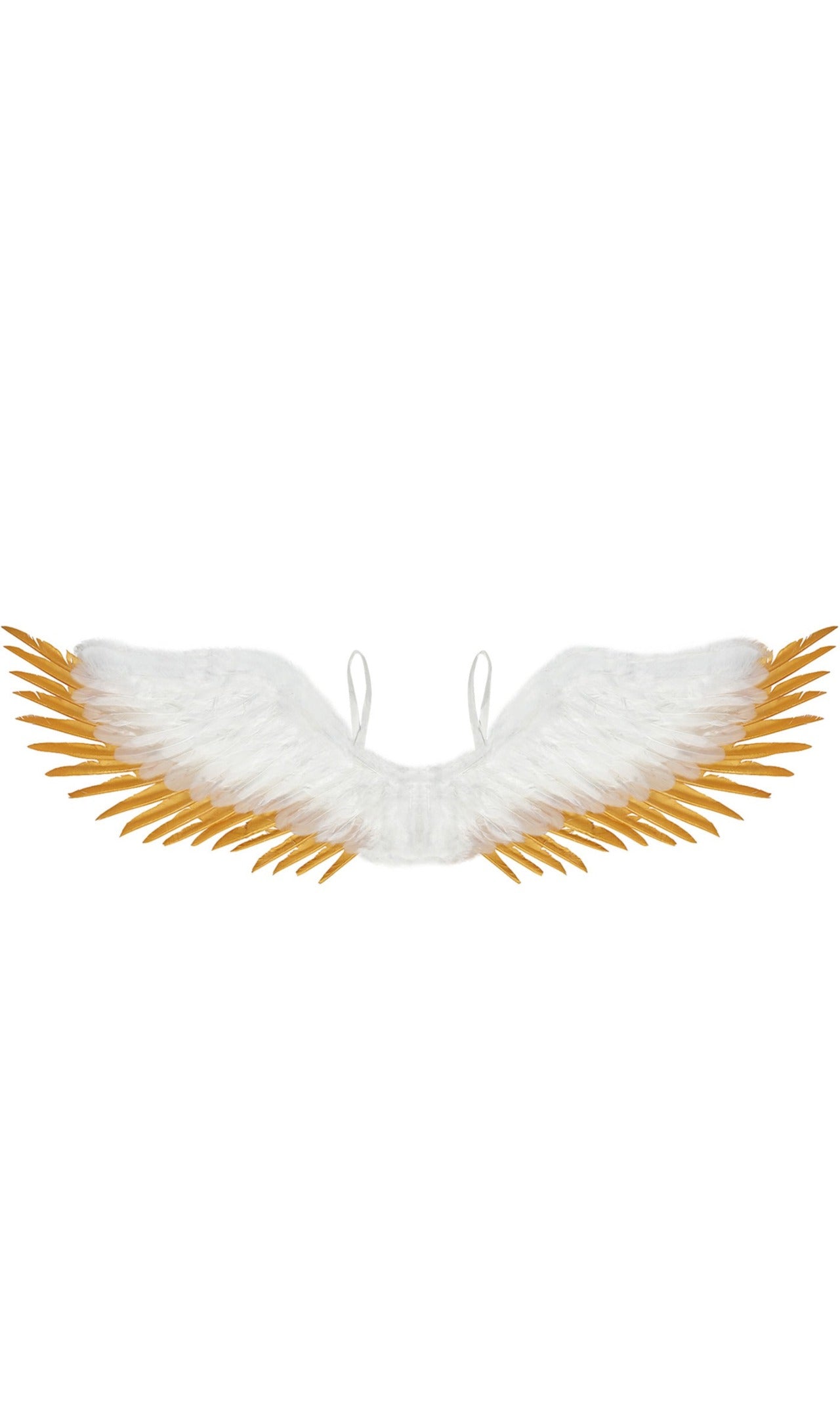 Ali Bianche e dorate