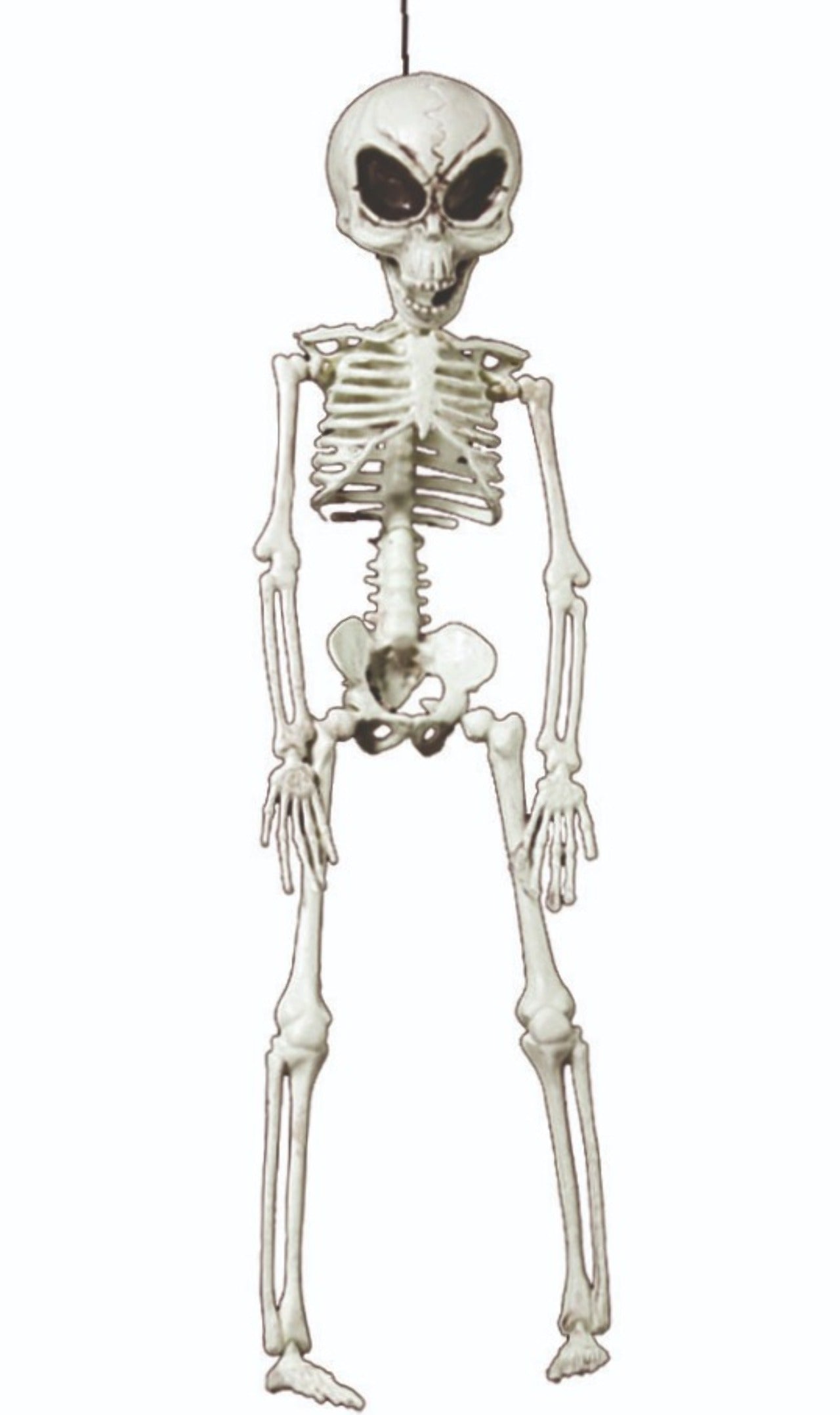 Scheletro alieno da appendere