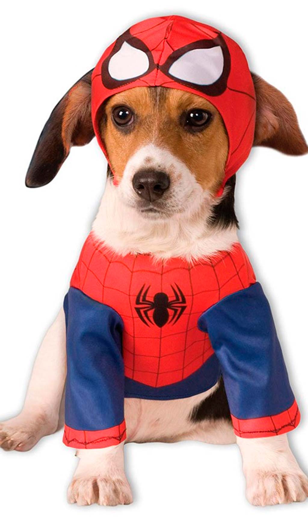 Costume da Spiderman™ per cane