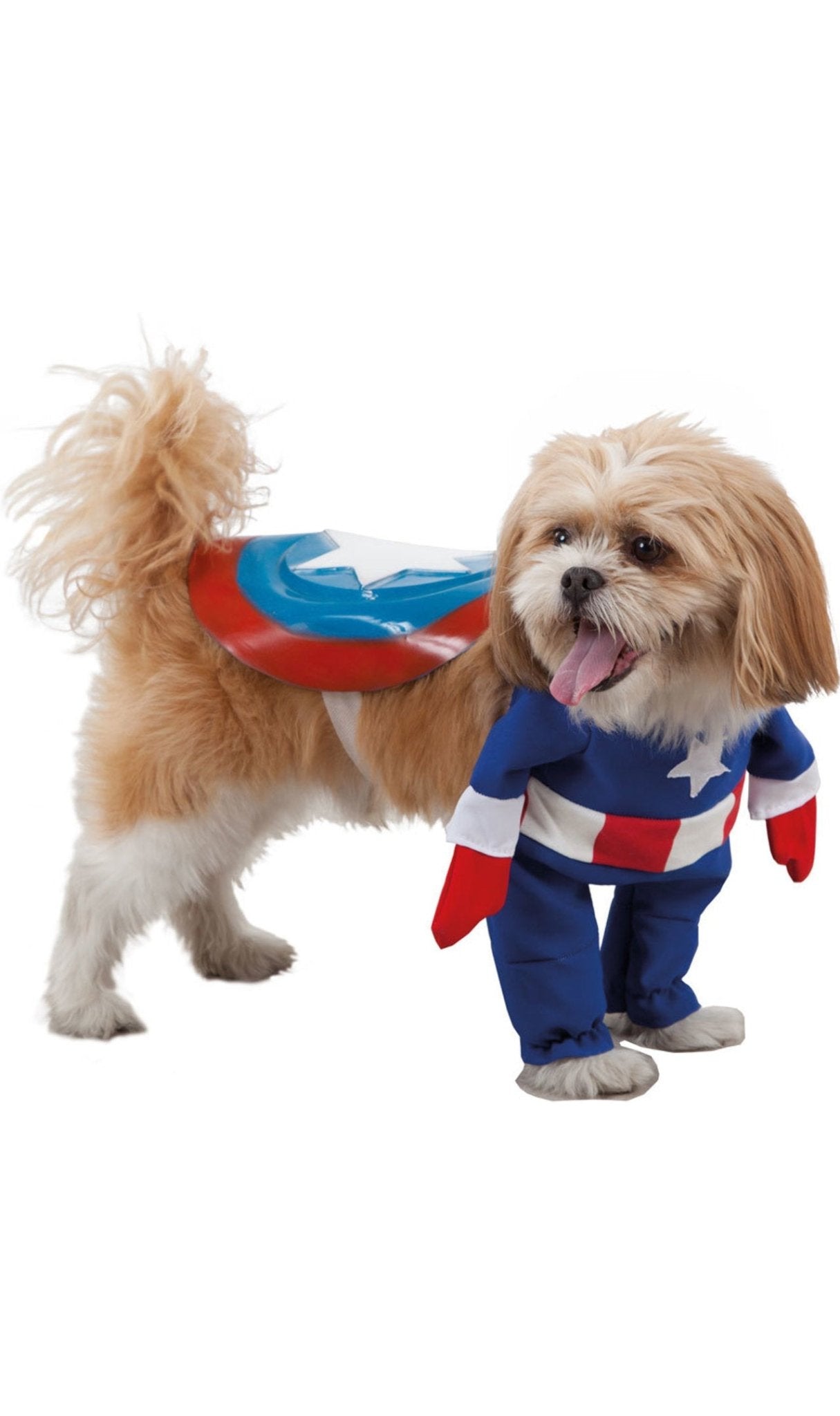 Costume per cani, Vestito per cani ispirato a Wonder Woman, Costume da  supereroe per cani, Costume da vestito, Costume da supereroe, Vestiti per  cani, Outfit per cani, Set 2pc -  Italia