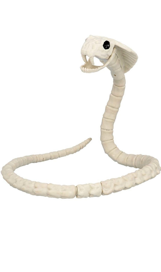 Scheletro di serpente