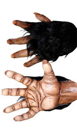 Mani Scimpanzé