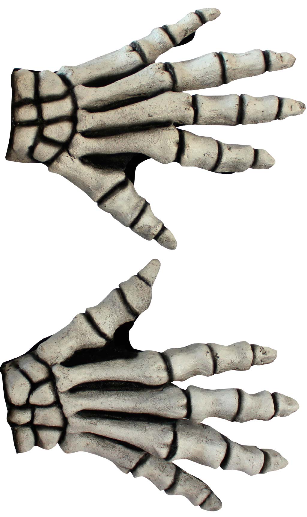 Mani Scheletro Corte