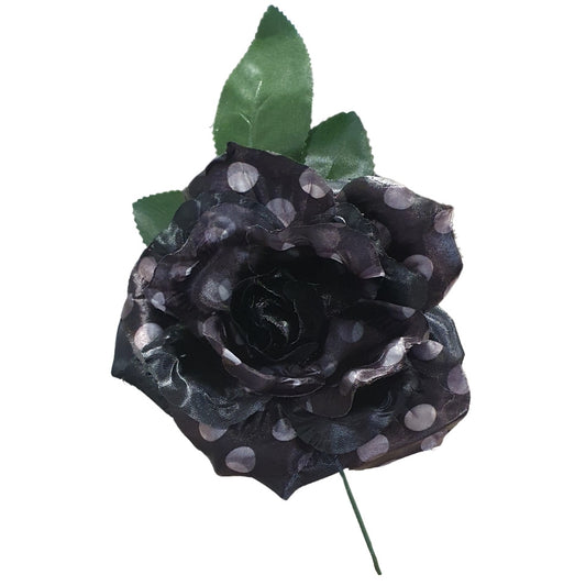 Rosa nera e bianca da Flamenca