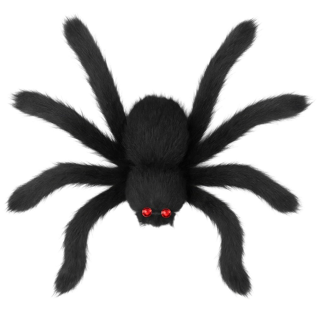 Ragno Nero Peloso Gigante 
