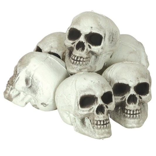 Pack 6 Teschi Sinistri