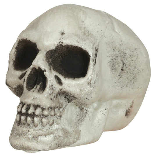 Pack 6 Teschi Sinistri