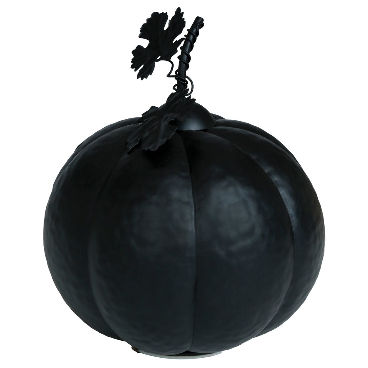 Zucca Nera Metallica Luminosa