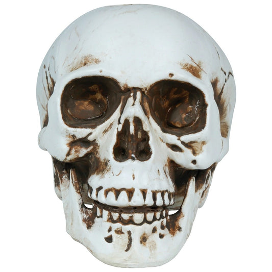 Teschio Halloween
