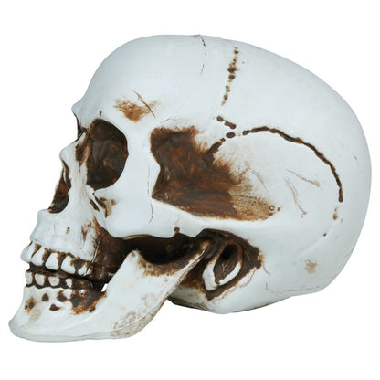 Teschio Halloween
