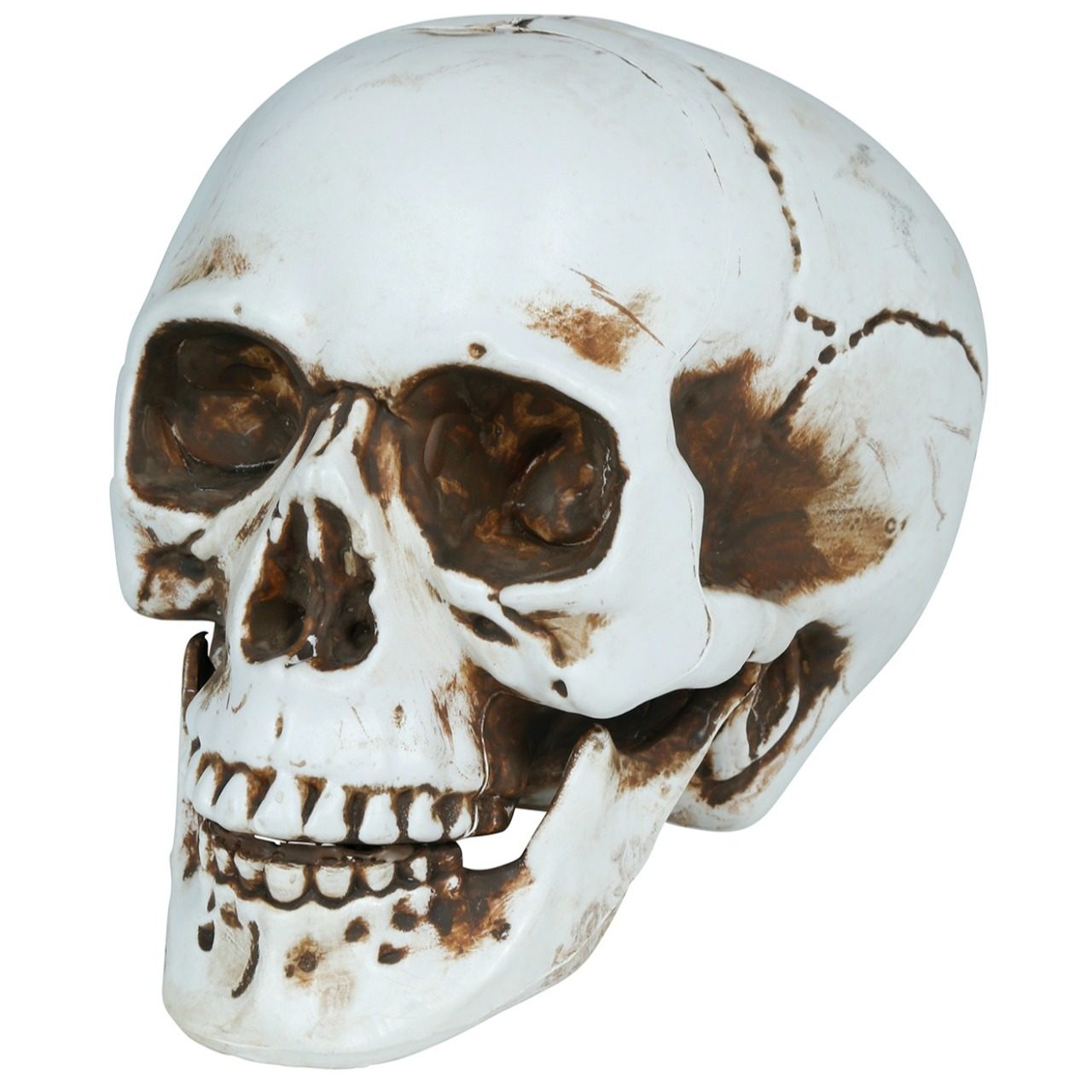 Teschio Halloween