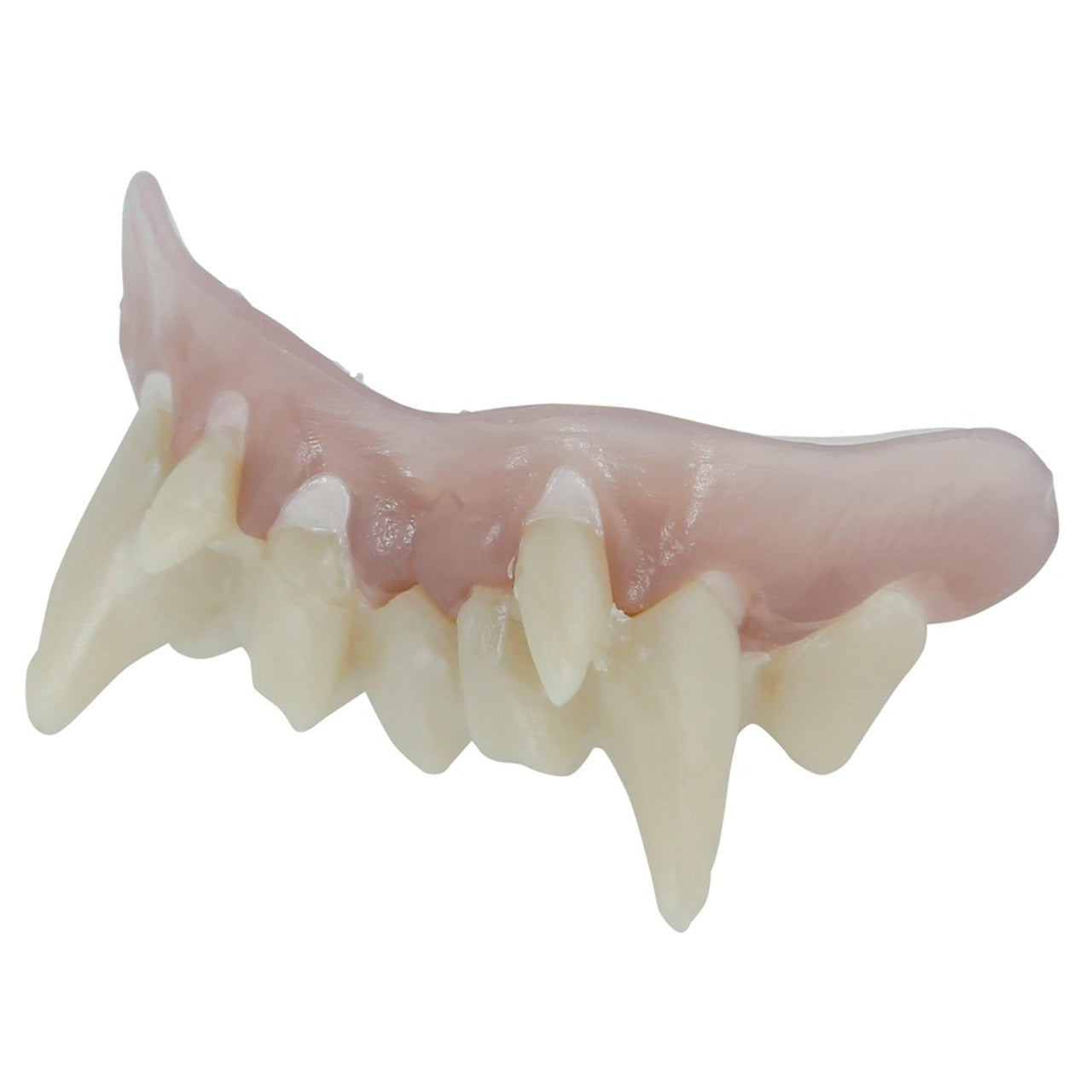 Dentiera da Vampiro con Termoplastica