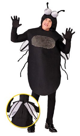Costumi di coppia da Insetticida e Mosca