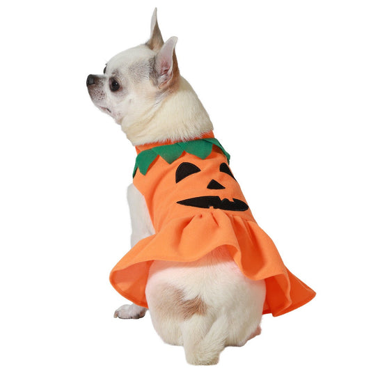 Costume da zucca per cane