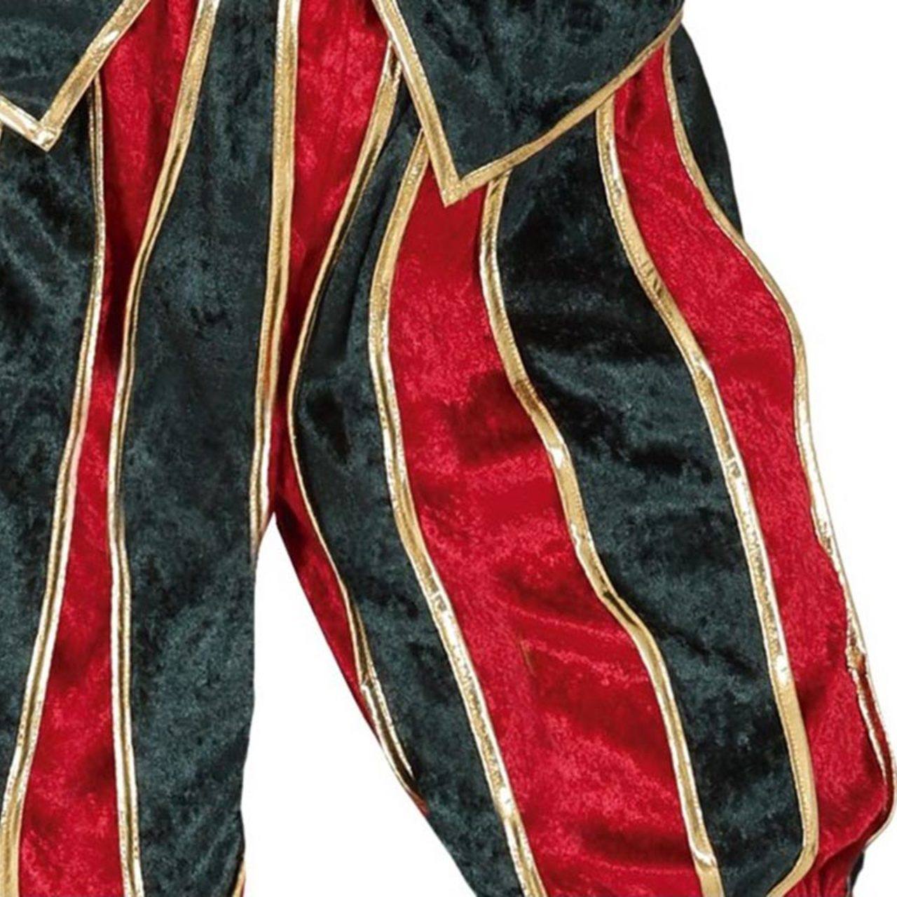 Costume di Elfa Pagetto per donna