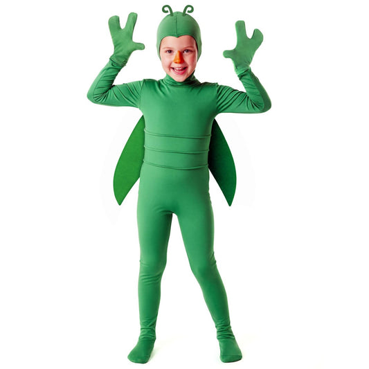 Costume da Insetto Verde per bambini 