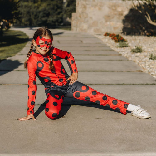 Costumi da Ladybug I Costumalia Don Disfraz