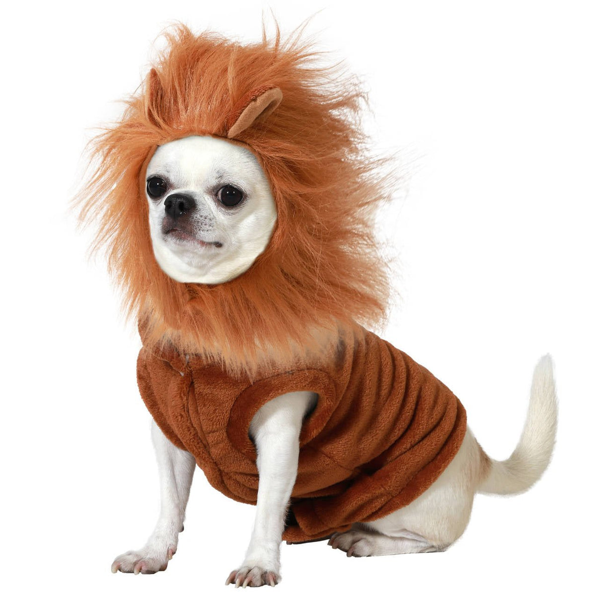 Acquista online costume da Leone per animale domestico