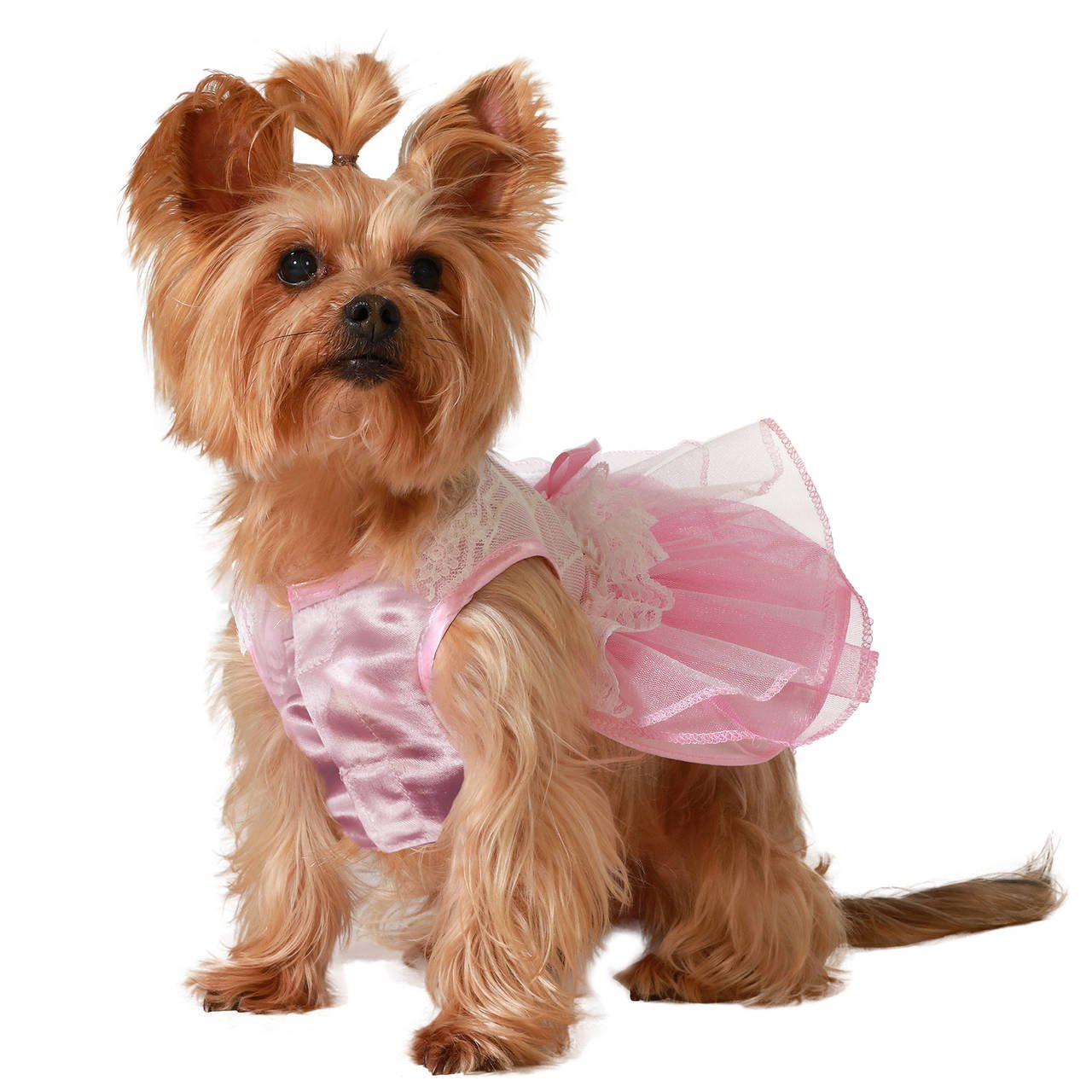 Costume da Principessa Rosa per cane