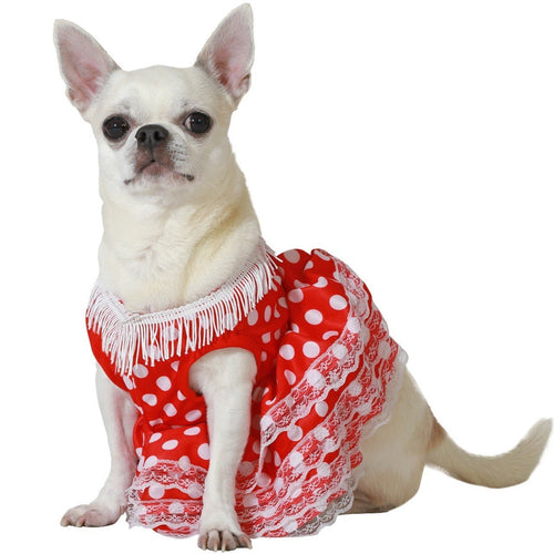 Costumi per Animale domestico I Costumalia Don Disfraz