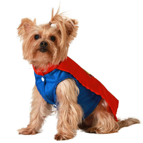 Gatto Vestito Da Superman Acquista Online Costume Da Supereroe Per