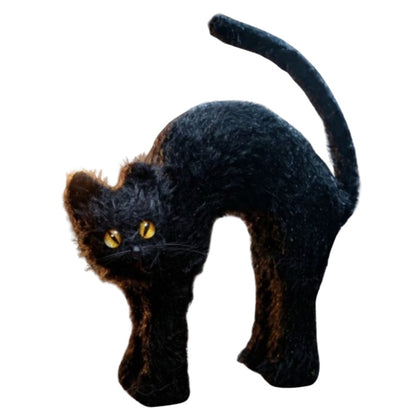 Gatto Nero Arrabbiato