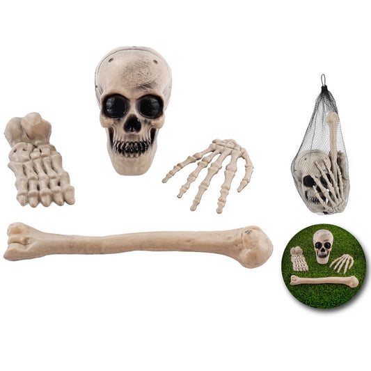 Ossa di Scheletro