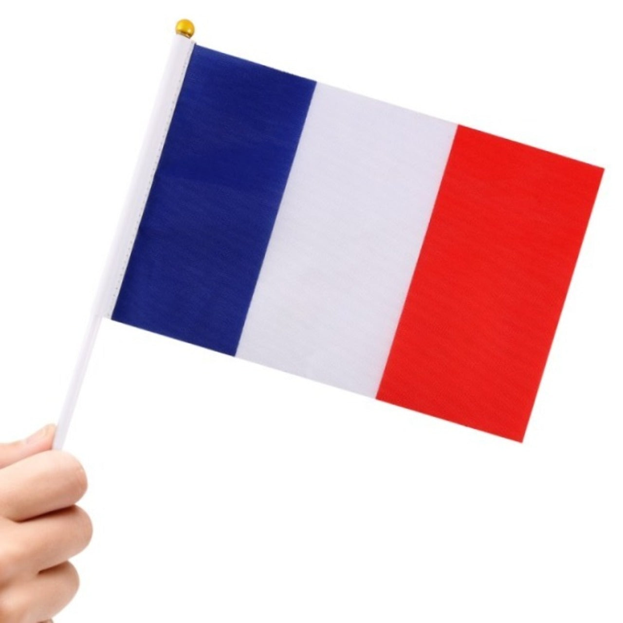 Pack da 24 Banderine della Francia 20x30cm