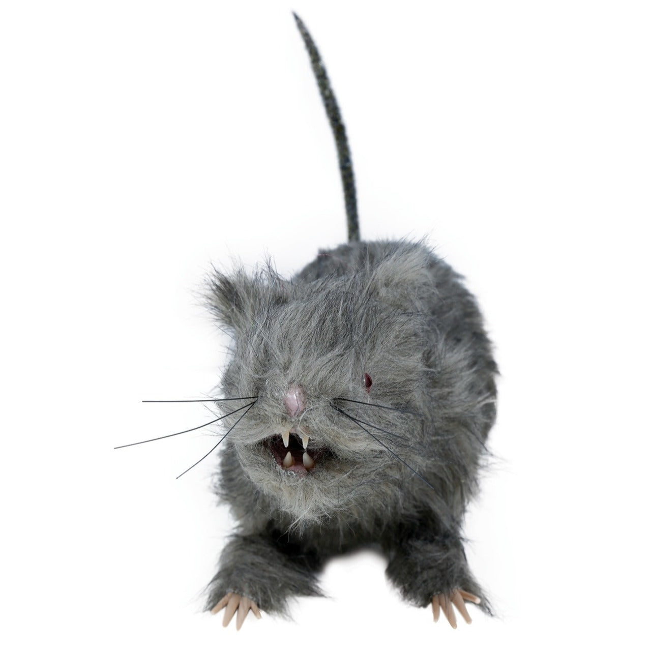 Grande Ratto con Luce
