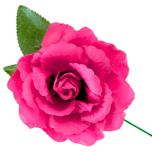 Rosa fucsia di Flamenca e Chulapa