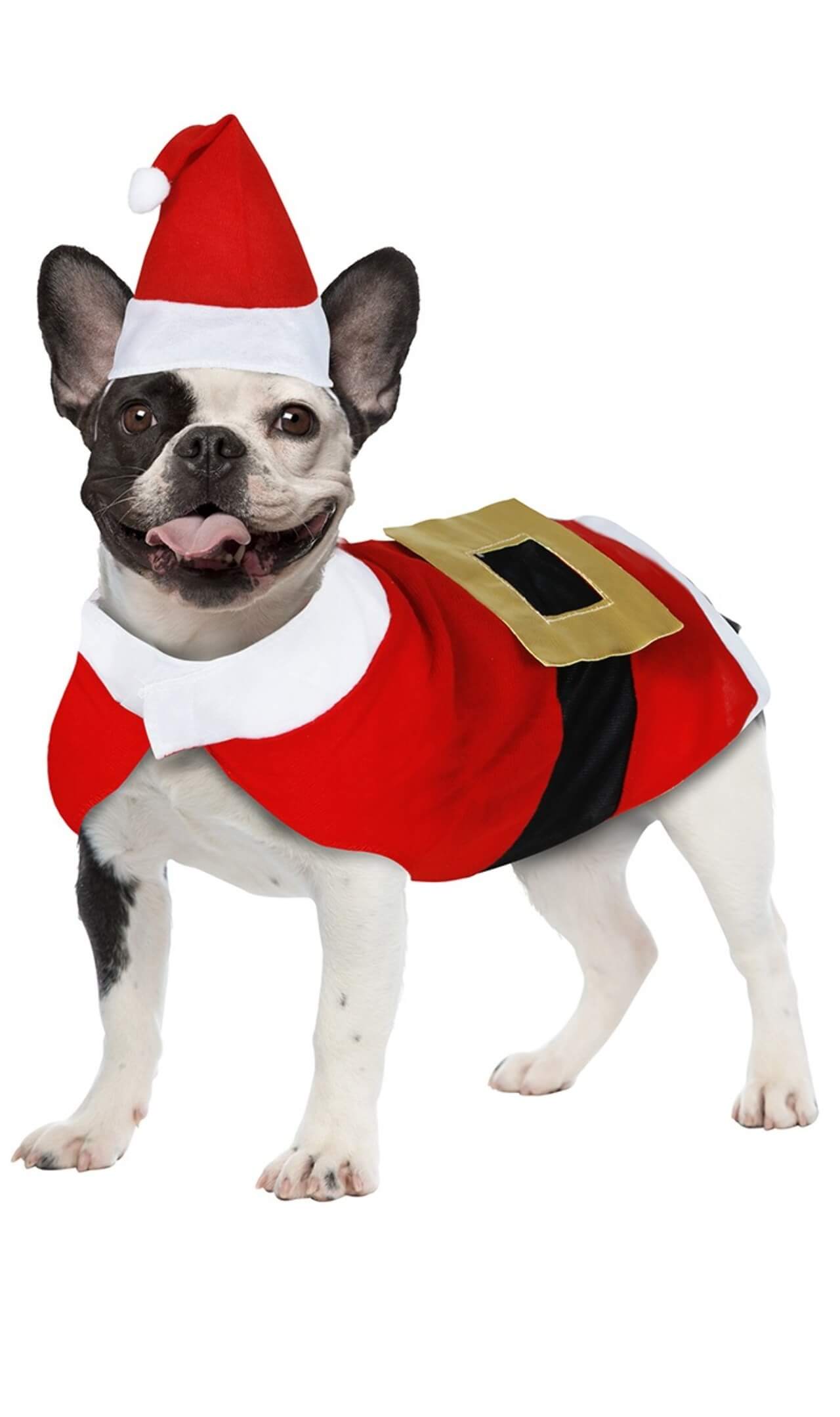 Costume da Babbo Natale eco per animale domestico