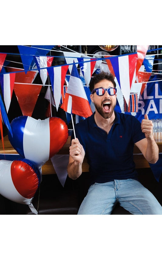 Bandiera della Francia con bastone