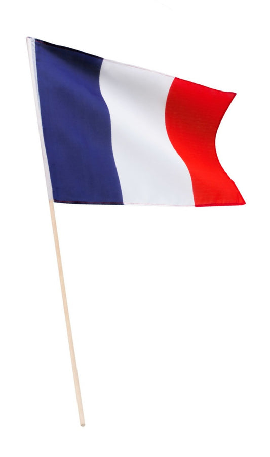 Bandiera della Francia con bastone