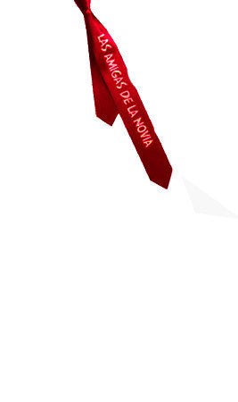 Cravatta Le Amiche della Sposa