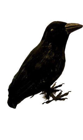 1 pezzo Halloween nero corvo modello simulazione finto uccello