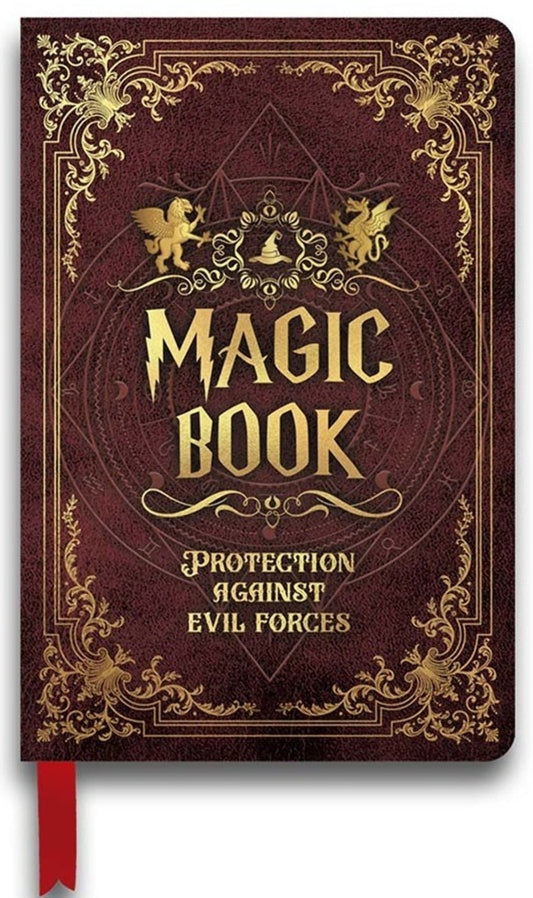 Libro incantesimi del mago Harry