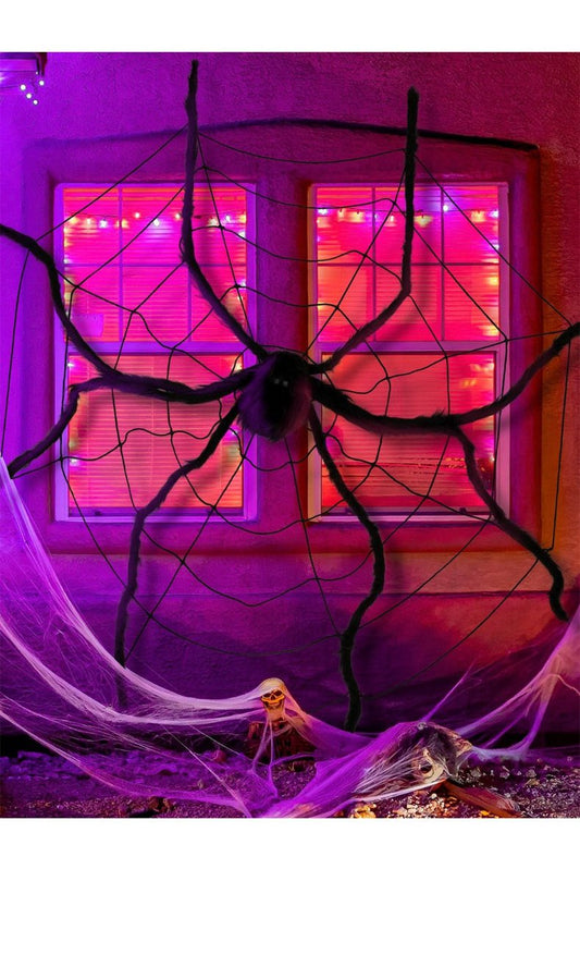 Ragnatela con ragno gigante